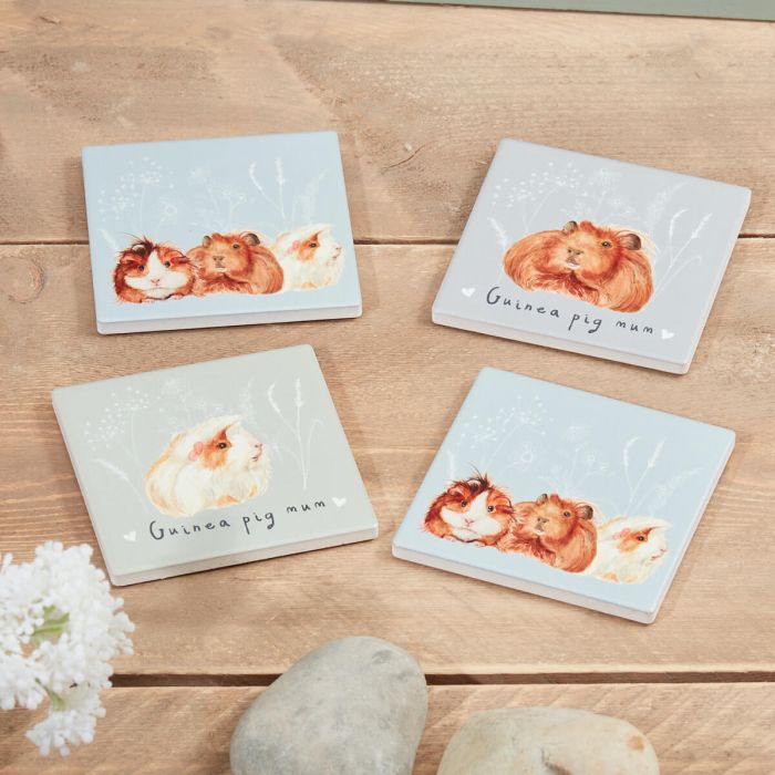 Guinea Pig Coaster Set