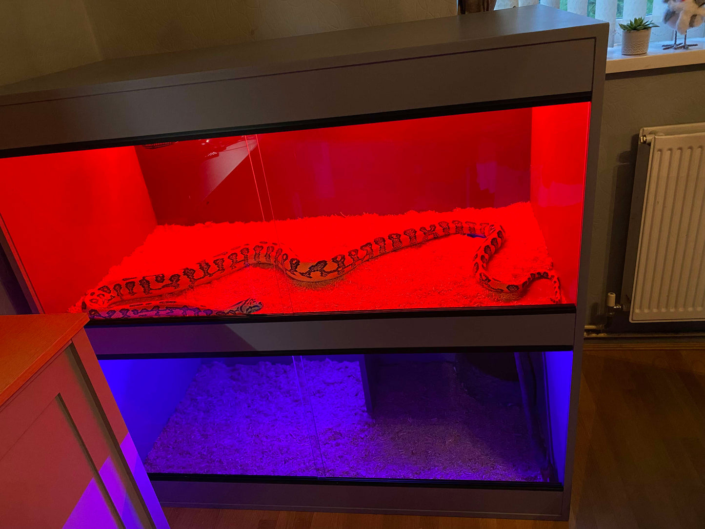 Custom Made Vivariums