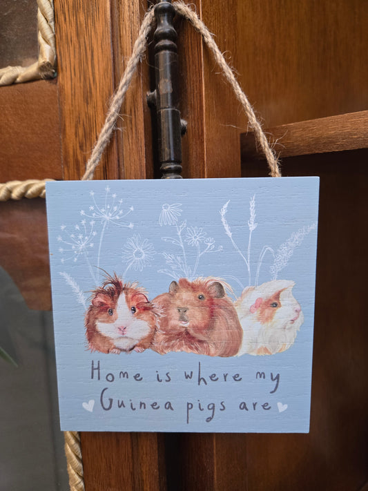 Guinea Pig Plaque