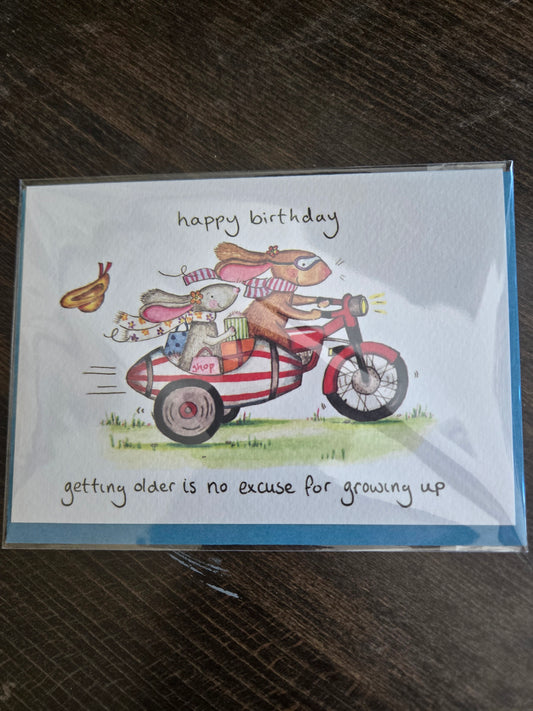 Happy Birthday getting older is no excuse for growing up