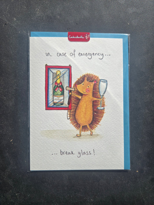 In case of emergency... break glass
